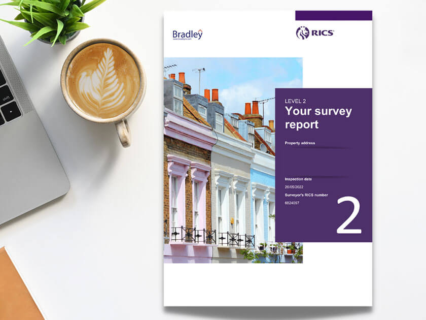 RICS Survey Report